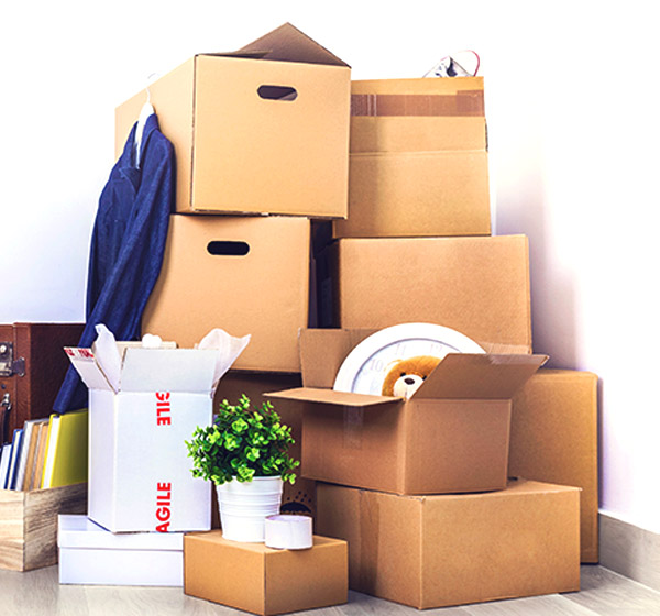 alliance packers and movers Bangalore